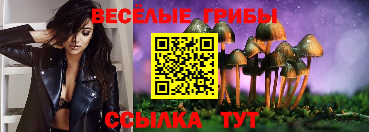 Псилоцибиновые грибы прущие грибы  наркошоп  Йошкар-Ола  Вход с VPN 